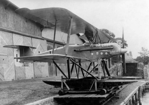 Albatros_W-8.jpg