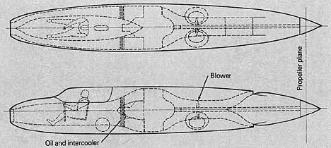 p155.jpg