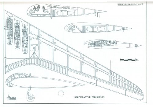 Ultimate flying wings-1.jpg