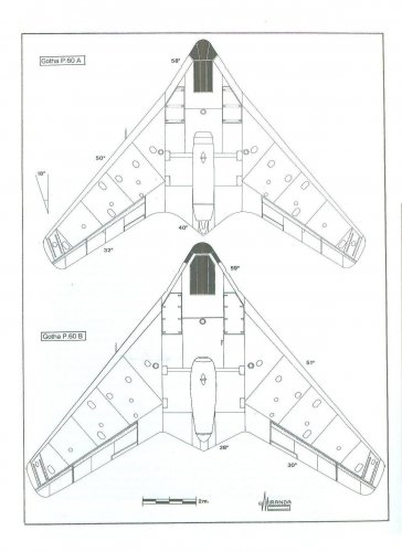 Ultimate Flying Wings 008.jpg