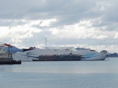 OGASAWARA5.jpg
