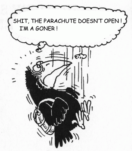 cartoon_Gerd _Bauer_1985.gif