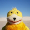 flateric