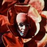 a flower