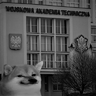 dmytrostrovskyi