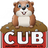 CubCam