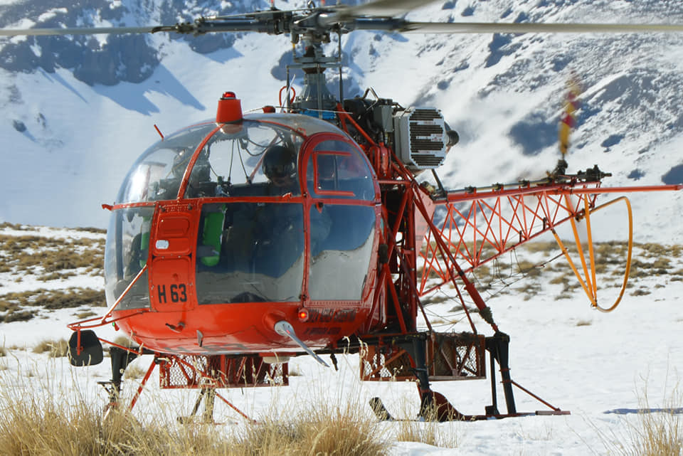 avionesenargentina.com