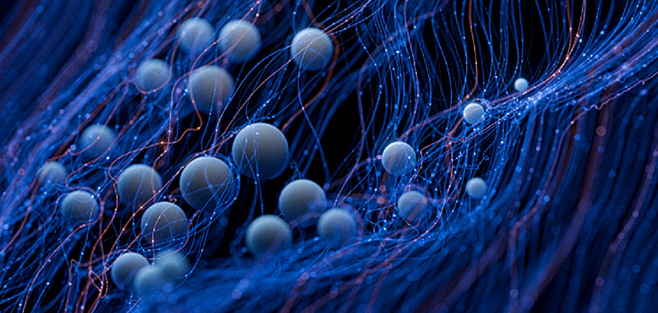 phys.org