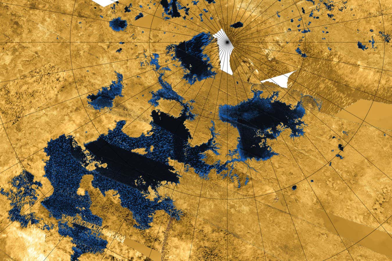 www.newscientist.com