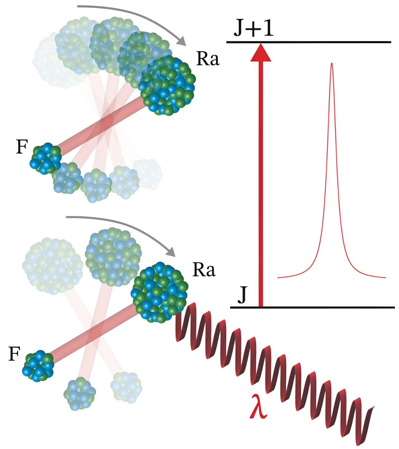 phys.org