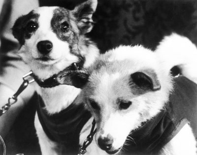Belka-i-Strelka.jpg