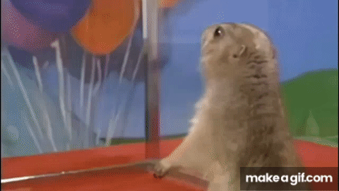 AEiykH.gif