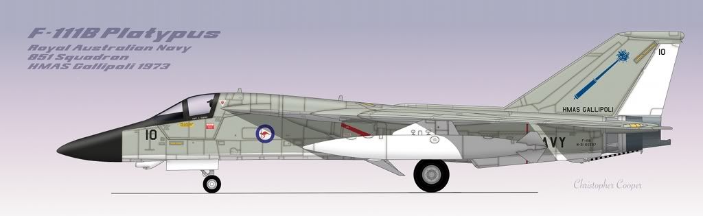 f-111bRANEarly.jpg