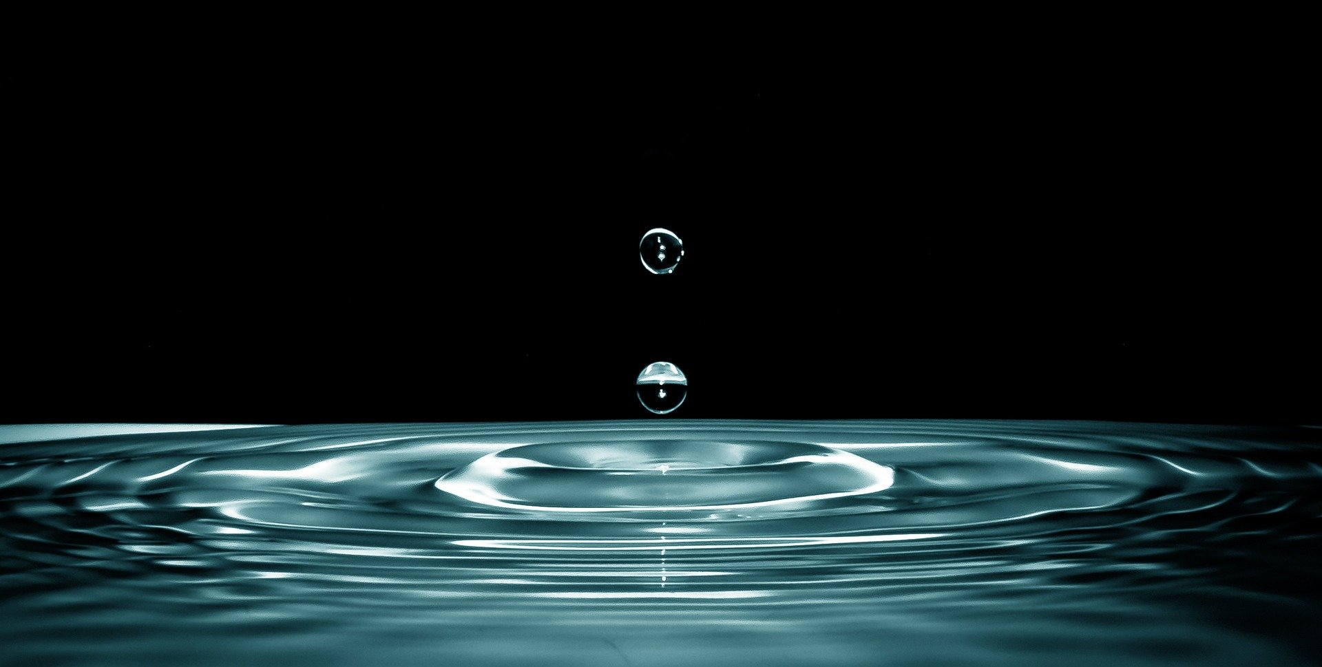 phys.org