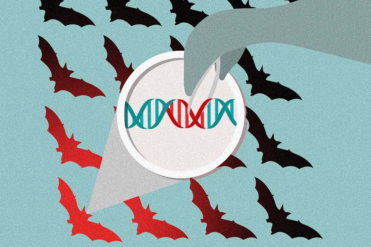www.newscientist.com
