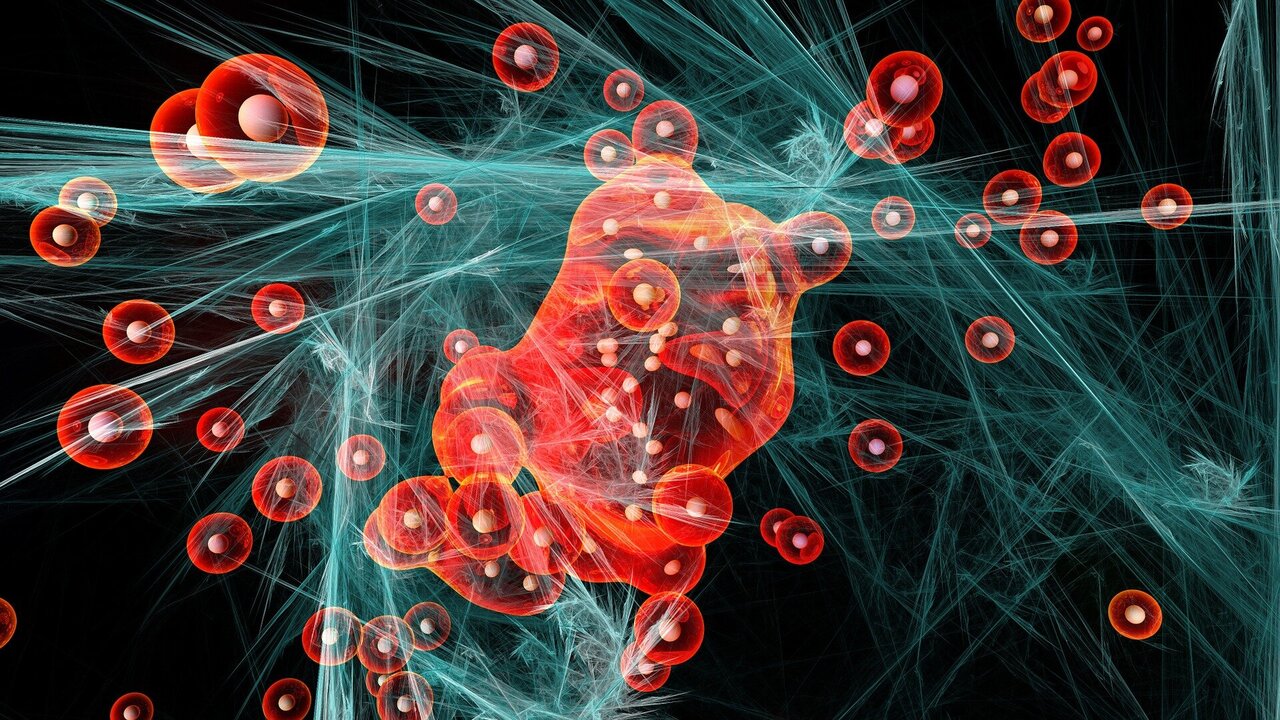 phys.org