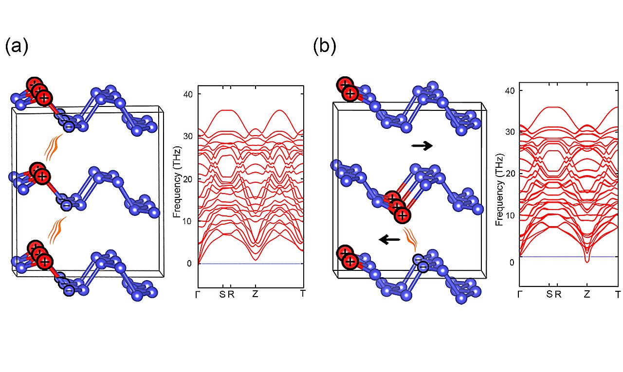 phys.org
