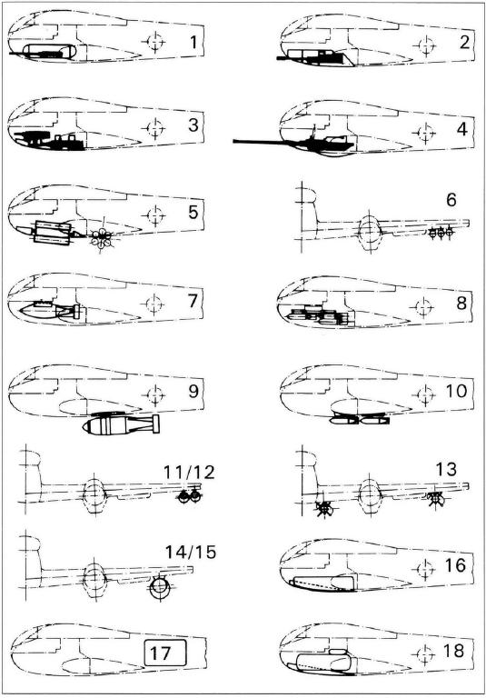 zz10.jpg