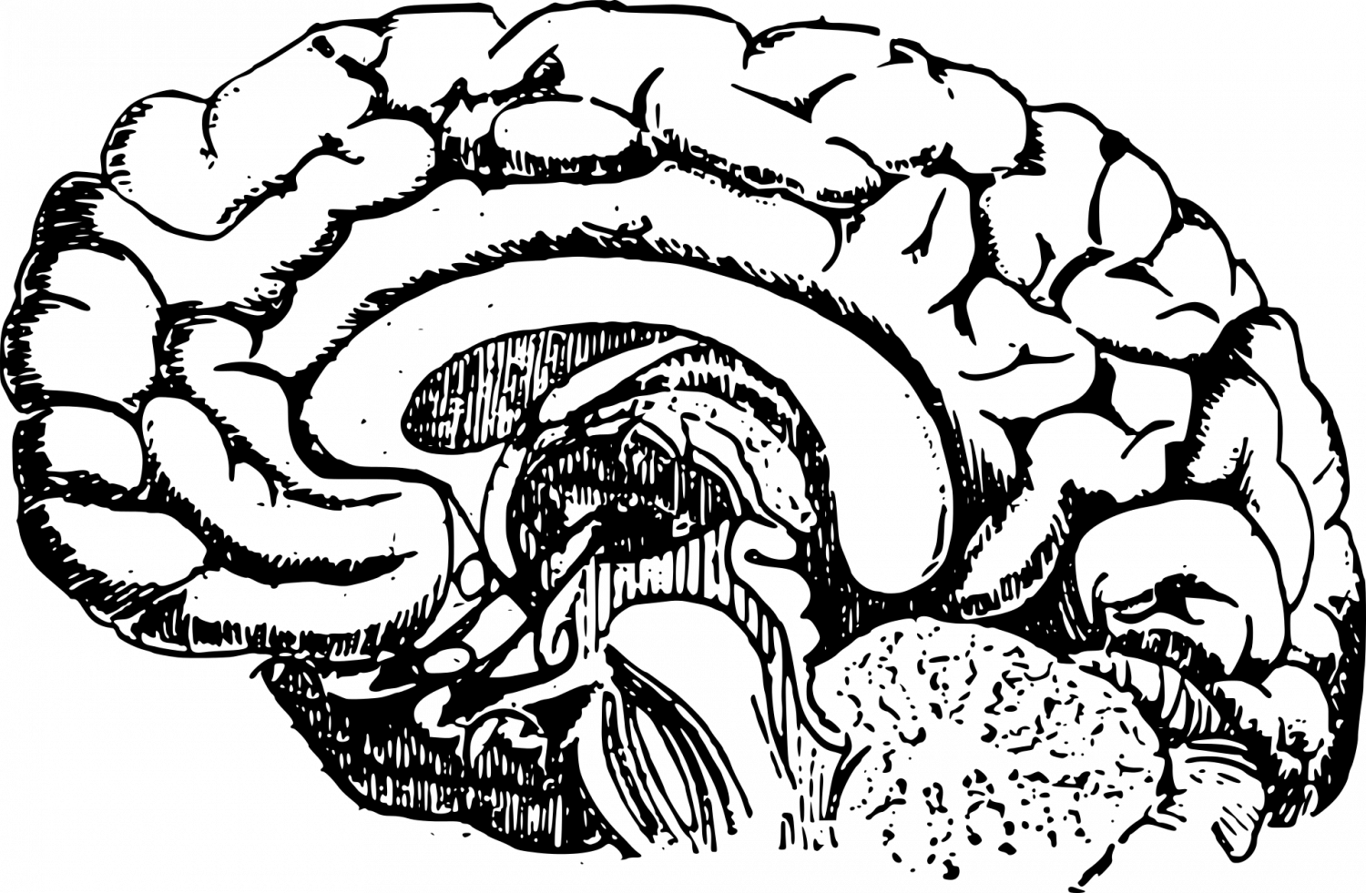 medicalxpress.com