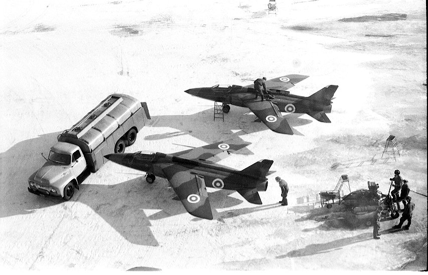 gnat_04.jpg