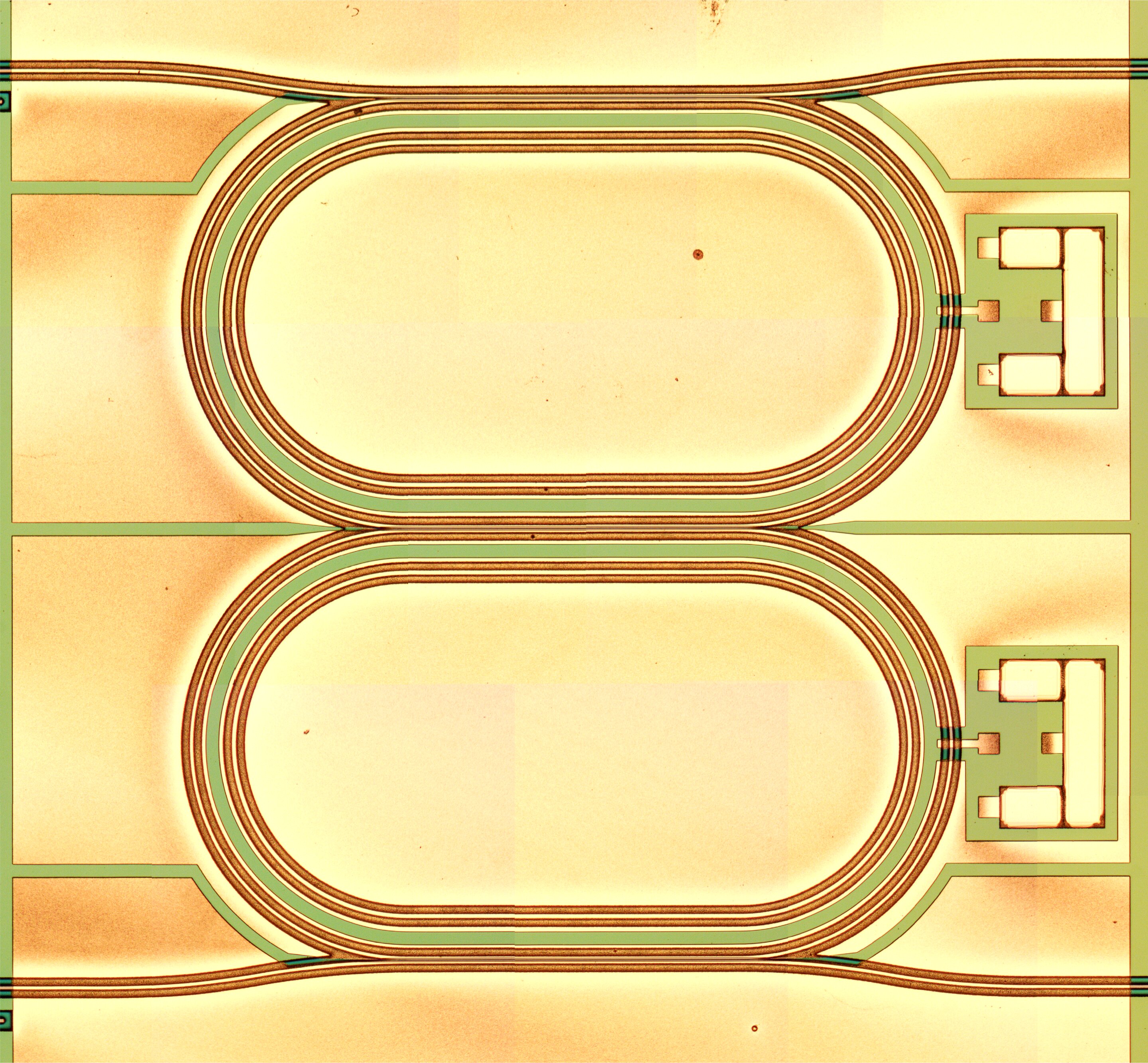 phys.org