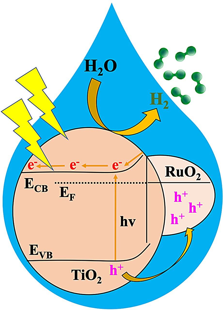 phys.org