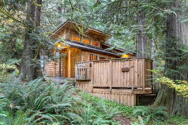 Deep-Forest-Cabins-Exterior.jpg