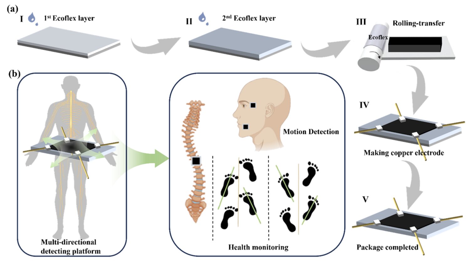 phys.org