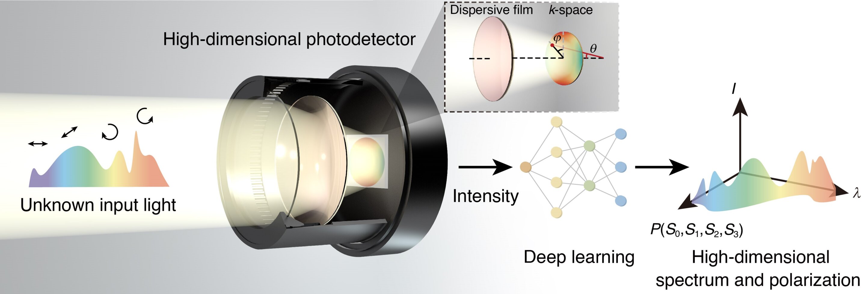 phys.org