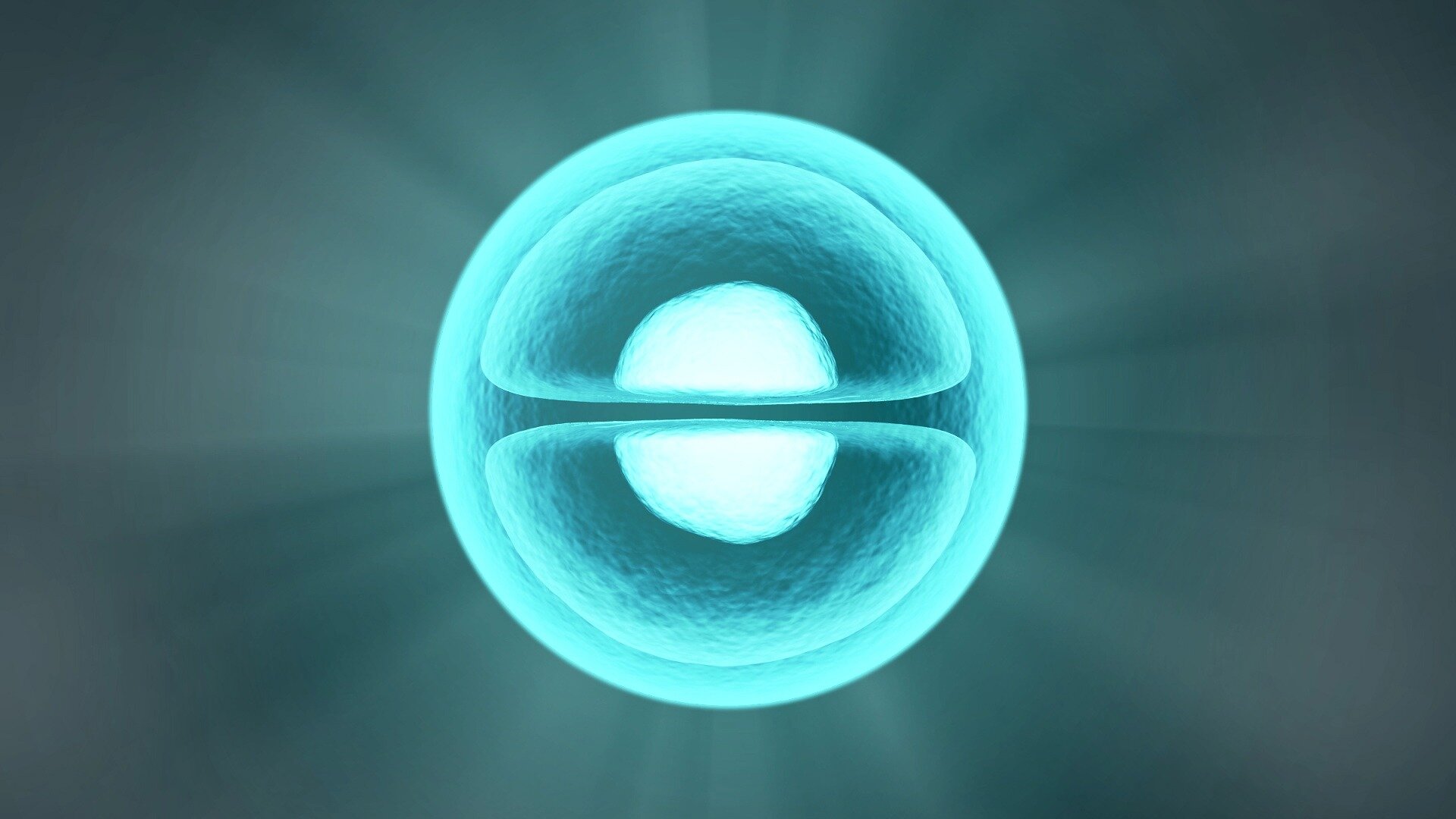 phys.org