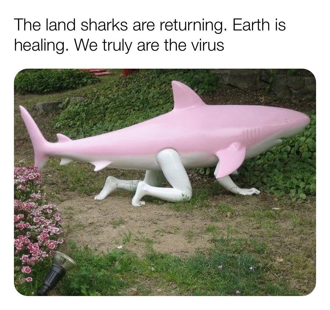 5ea9d3261d12f.jpeg