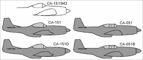 r_P-51canop_m.jpg