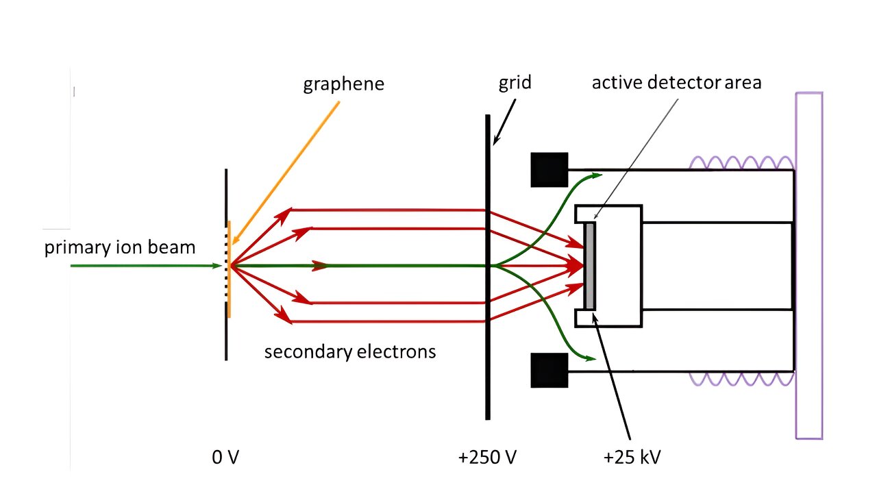 phys.org