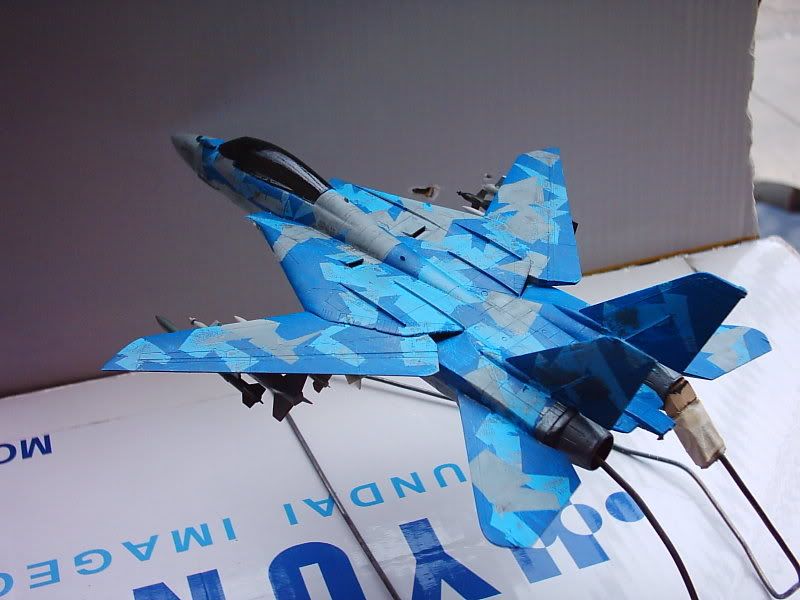FA-14WTomcatIMG_2922.jpg