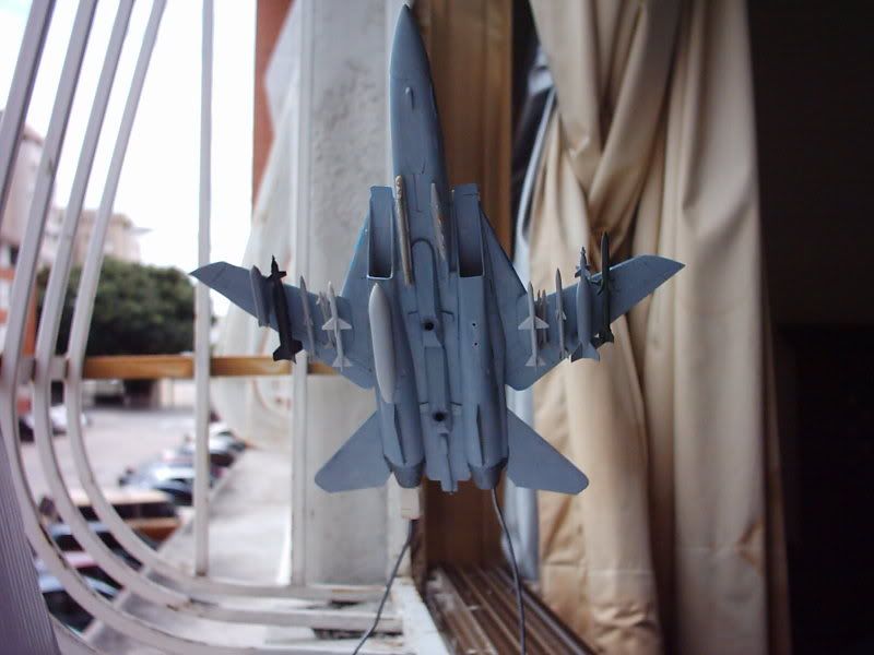 FA-14WTomcatIMG_2923.jpg