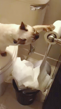 939e05088c41bb8900ccace36eb6fb16.gif