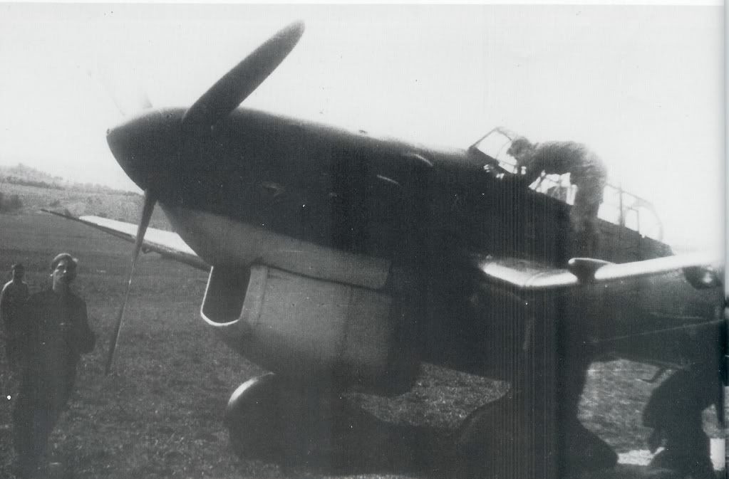 ju87213e.jpg