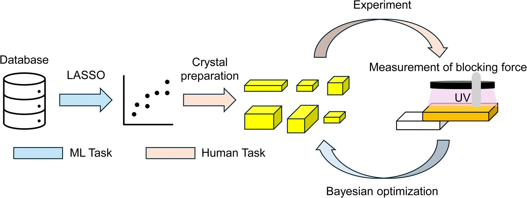 phys.org