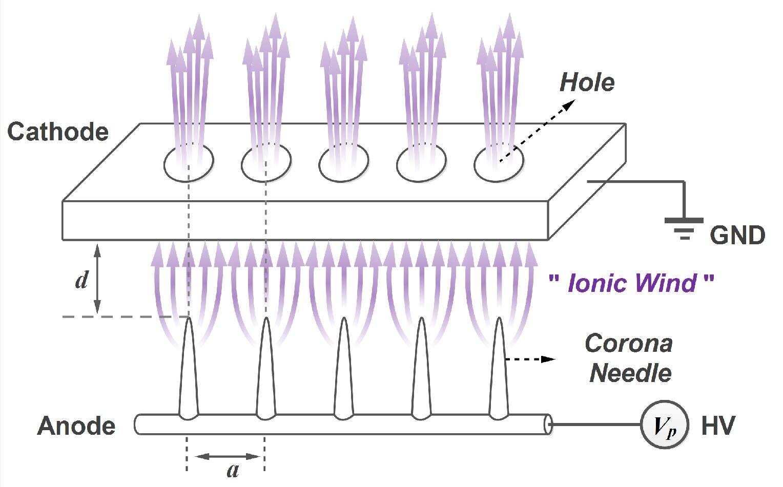 phys.org