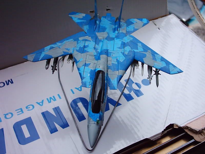 FA-14WTomcatIMG_2920.jpg