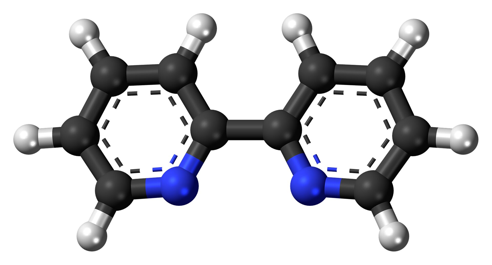 phys.org