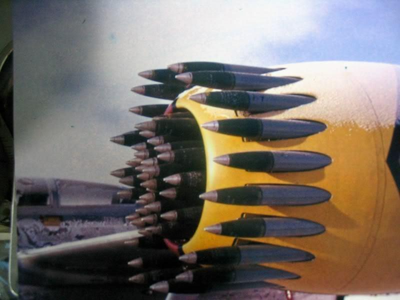 a6j6pyidahg21.jpg