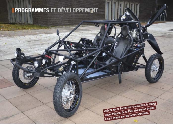 Buggy volant Pégase.jpg