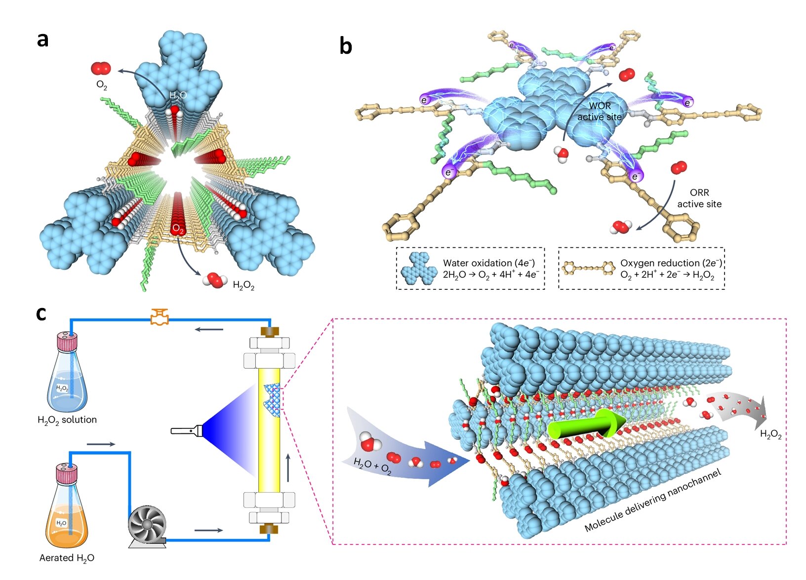 phys.org