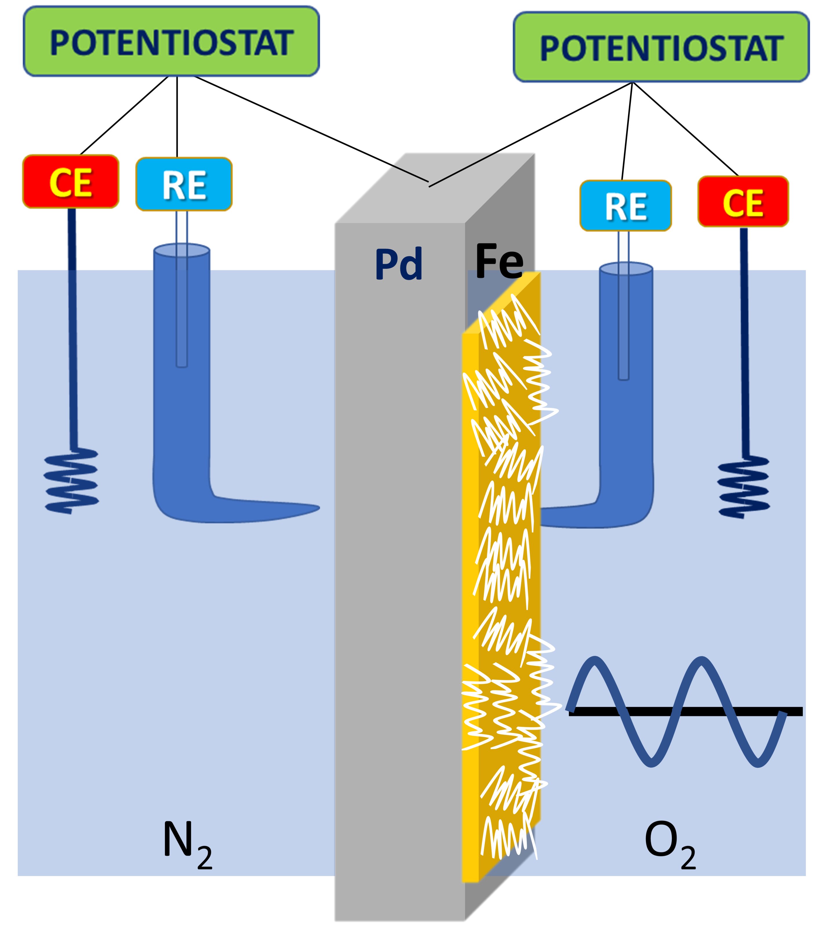 phys.org