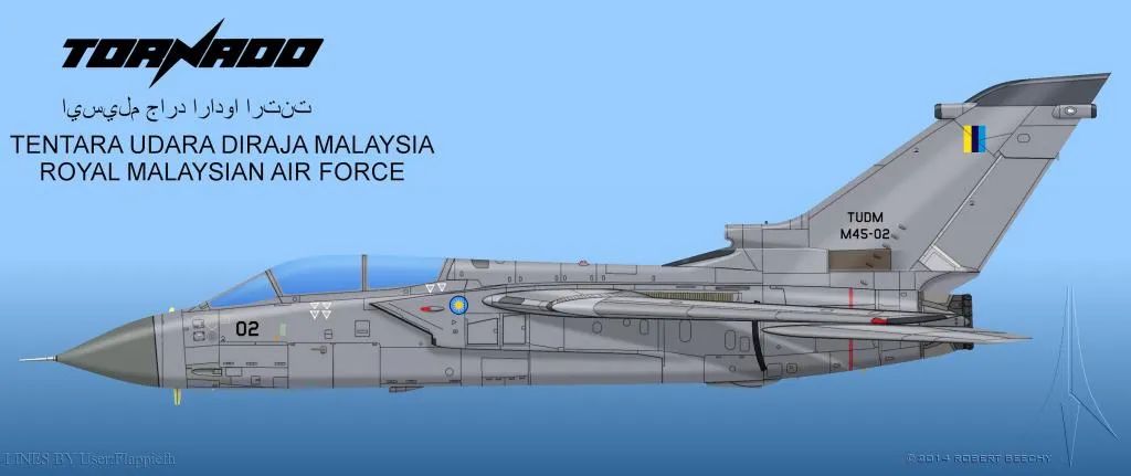 TornadoIDSMalaysia.webp