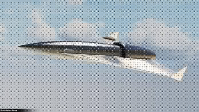 NcaLI8E-696x392.jpg