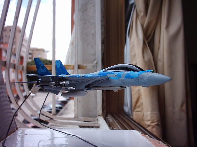 FA-14WTomcatIMG_2919.jpg