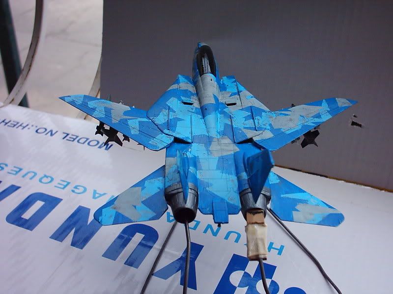FA-14WTomcatIMG_2921.jpg