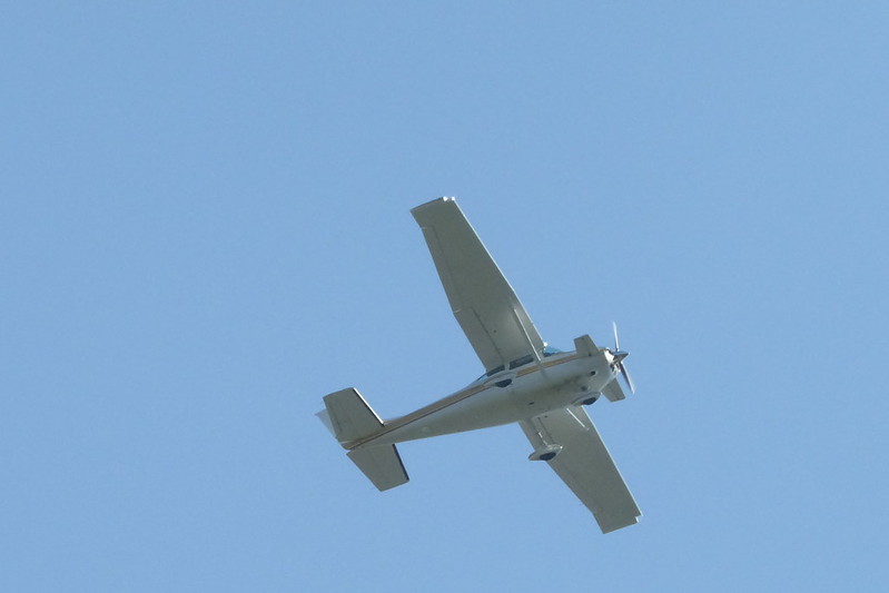 7382709062_c97e57b472_c.jpg